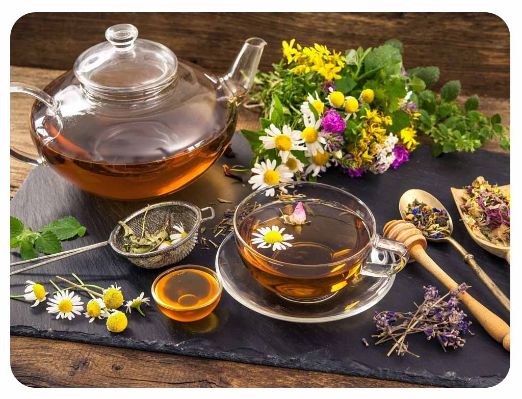 Vietnamese Herbal Tea – A Natural Elixir for Health 🍵🌿